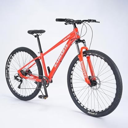 zhangbaoshun Mountainbike Herren 29 Zoll,Hydraulische Scheibenbremsen,1x12 Kettenblatt,Aluminiumrahmen,29x2.125 Reifen,Blockiersystem Vorderradgabel,Robustes Design,MTB für Offroad,29"-Spoked-Wheel – Bild 3