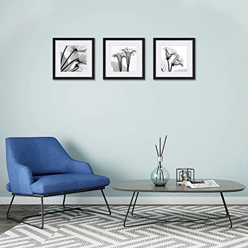Black And White Flower Wall Art Abstract Decor Transparent Floral Canvas Print For Home Decorations A Set Of Tulip Printed Posters Painting Pictures 3 Piece Framed Photos Black Frames #TOP3
