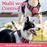rabbitgoo Dog Harness for Large Dogs, No Pull Pet Vest with 3 Buckles, Adjustable Soft Padded Pet Harness with Easy Control Handle and Reflective Strips, Pink, L - Image 3