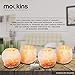 Nevlers 2.5 lbs 4 Pack Natural Himalayan Salt Tea Light Candles Holder | Great Room Decor