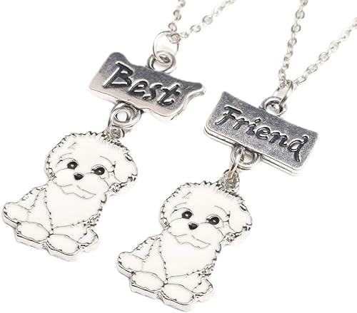 Collares para mejores amigos, dije de perro de amistad, encantador, conjunto de collar de metal para el día de San Valentín, cumpleaños, Navidad