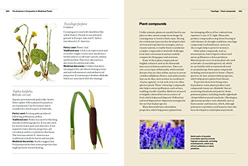 The Gardener's Companion to Medicinal Plants: An A-Z of Healing Plants and Home Remedies: 1