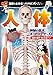 漫画でよめる! NHKスペシャル 人体-神秘の巨大ネットワーク- 2 脂肪・筋肉・骨のひみつ!