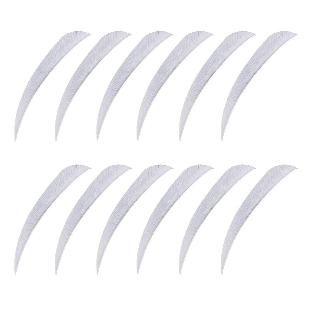 VELURA 12pcs 3inch Archery Arrow Turkey Feathers Fletchings Vanes White|12 Pieces Arrow | Fletches| Archery | Outdoor Sports |Sporting Goods 1
