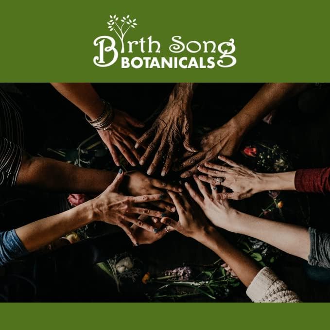 Miniatura 6 de Birth Song Botanicals Tintura energizante de clorofila, gotas de clorofila líquida superconcentradas, suplemento de apoyo energético a base de