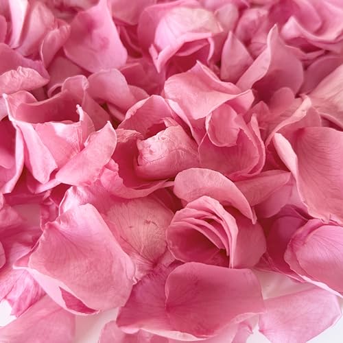 Real Dried Rose Petals 180+PCS Freeze Preserved Pink Flower Wedding Petals