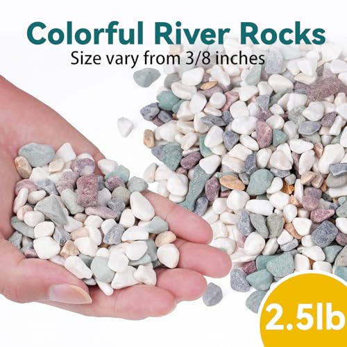 Image of 2.5 lbs Natural Pea Gravel Pebbles for Aquarium, Fish Tank, 3 /8 inch Decorative Pebbles for Indoor Plants, Succulent, Bamboo, Vase, Drainage Rocks for Potted Plants, Top Dressing, Mixed Color