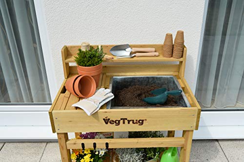 VegTrug® Pflanztisch Deluxe, Natur, 100% FSC zertifiziertes Holz, 77 x 46 x 94 cm, Werkzeugfach, 3 Haken