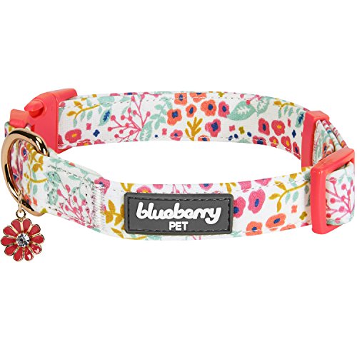 Blueberry Pet 6 Patterns Spring Scent Inspired Garden Floral Adjustable Dog Collar in Creamy White, Medium, Neck 14.5