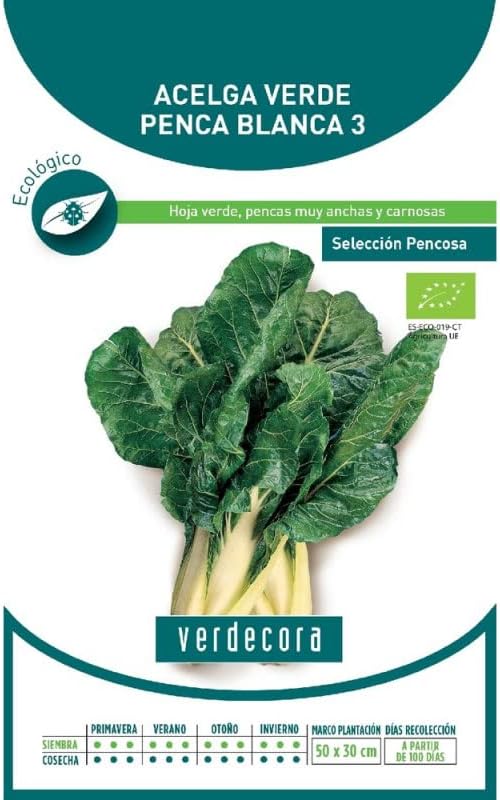 SEMILLAS ECOLOGICAS ACELGA VERDE PENCA ANCHA VERDECORA