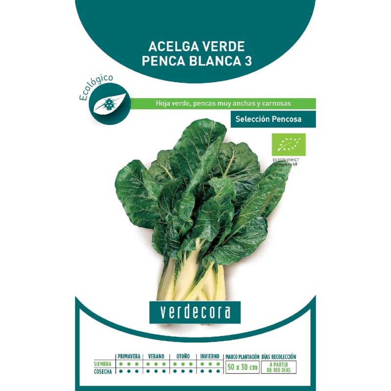 SEMILLAS ECOLOGICAS ACELGA VERDE PENCA ANCHA VERDECORA