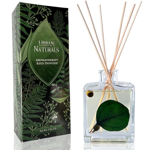 Urban Naturals UN-REC-DIF-SANDAL-EUC Sandalwood & Eucalyptus Reed Diffuser Set – Made With Essential Oils & Real Botanicals cover