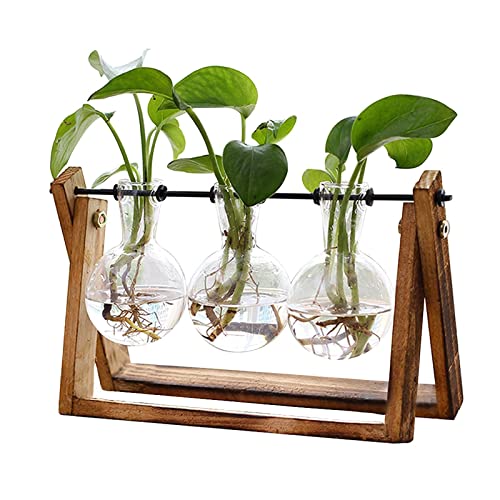 Xxxflower Plant Terrarium With Wooden Stand - 3 Bulb Vase + Glass Plant Mister Spray Bottle For Indoor Plant Spritzer #TOP1