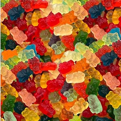 Gummi Bears Candy | 1 Pound Pack | Assorted Fruit Flavors | Chewy Gummies for Snacking, Party Favors, Goodie Bags, Dessert Decorating, and Candy Buffets