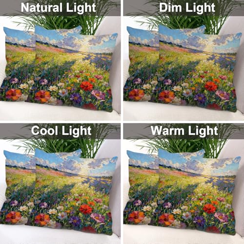 Housse de coussin décorative Monet 18x18 in pour canapé et lit - 8