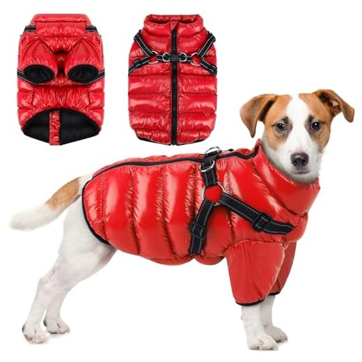 Woiil Perro Chaqueta Otoño Invierno, Abrigo Perro Impermeable y Cortaviento, Mascota Chaleco Caliente con arnés, Chubasquero Perro para Perros Pequeños, Medianos y Grandes,Ropa Perro Pequeño(M Rojo)