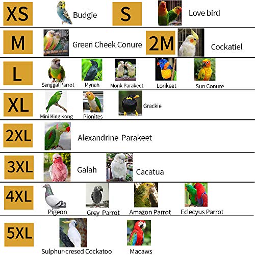 image for HEZHUO Bird Flight Suit,Parrot Bird Supplies, Warm and Comfortable, Ti