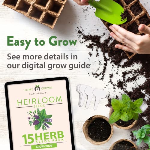 15 Culinary Herb Seeds Vault - Heirloom & Non Gmo (2X More) 4900+ Seeds For Planting Indoor Or Outdoor Herbs Garden | Gardening Gift For Men Women - Basil, Cilantro, Chives, Lavender, Mint, Thyme #TOP6