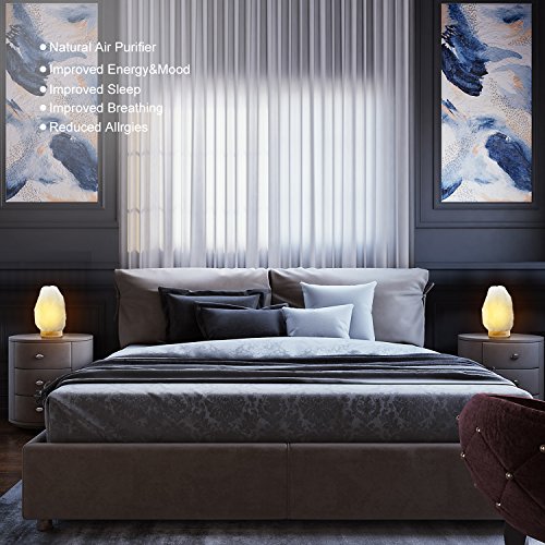 Set Of 2 Pack Large Heavy Duty (8-11 Lbs,7.5-10") Pearl White Himalayan Salt Lamp Night Light Crystal Hymalain Rock Table Lamps,Thailand Rubberplatinum Base, Dimmable Switch Control (4 Bulbs Included) #TOP4