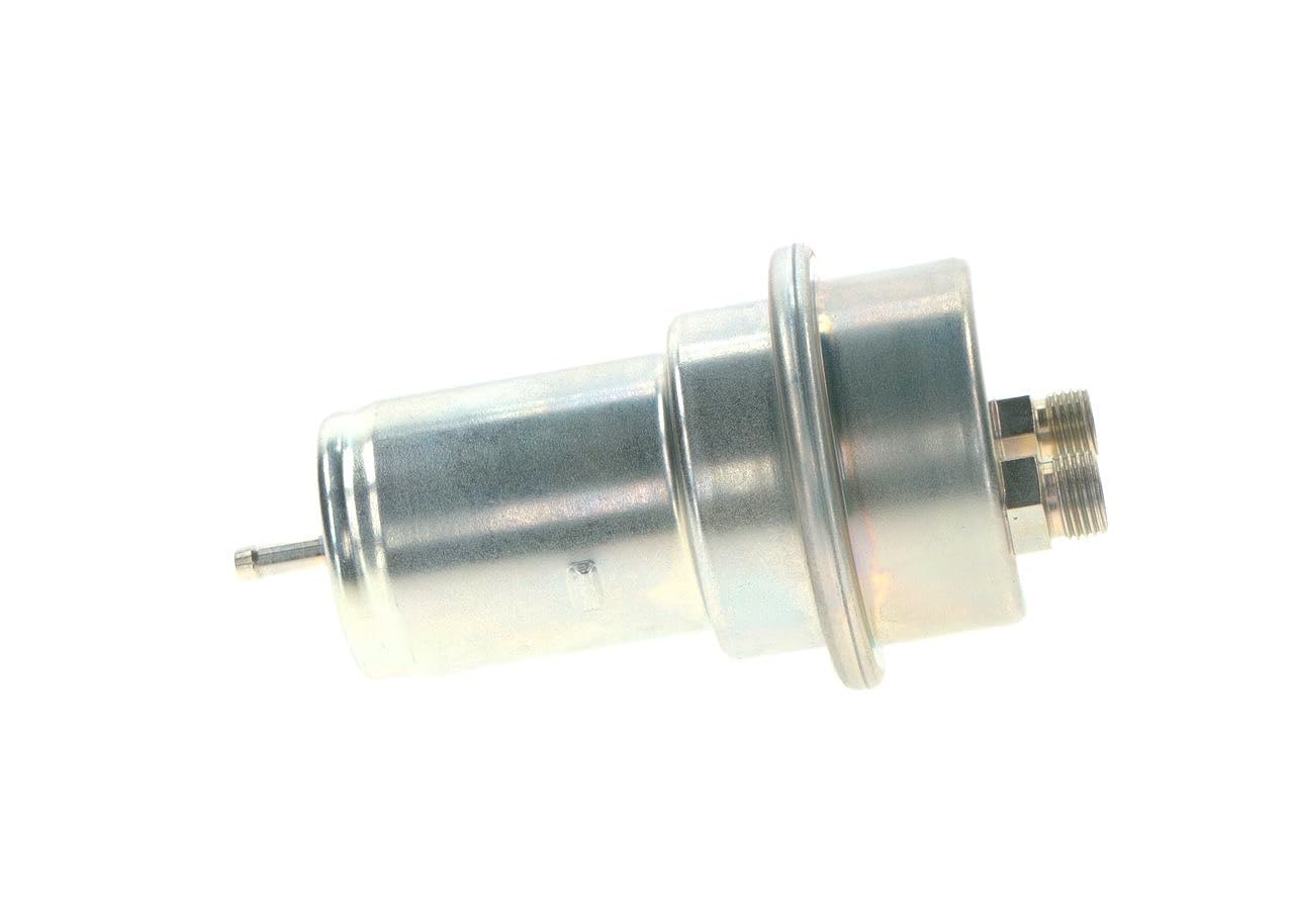 BOSCH Druckspeicher, Kraftstoffdruck 0438170029 Kompatibel mit: DE LOREAN DMC-12, FORD CAPRI III, ESCORT III, GRANADA II, GRANADA Turnier, PEUGEOT 505, 505 Break, RENAULT 25, 30