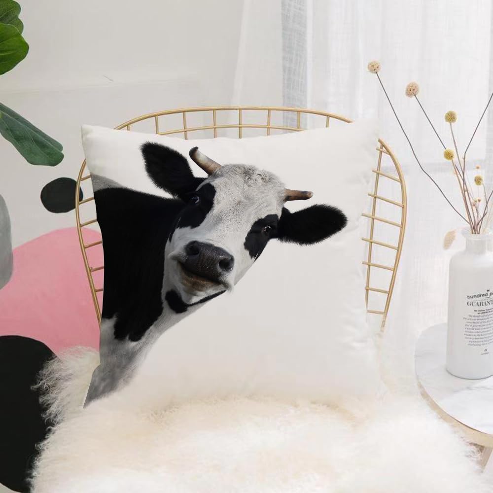 HYOSXW Cushion Cover,Throw Pillow Case Home Decorative for Living Room Bedroom Sofa Chair 16X16 Inch,ox，Funny cow isolated on a white background,Pillowcase 40X40cm