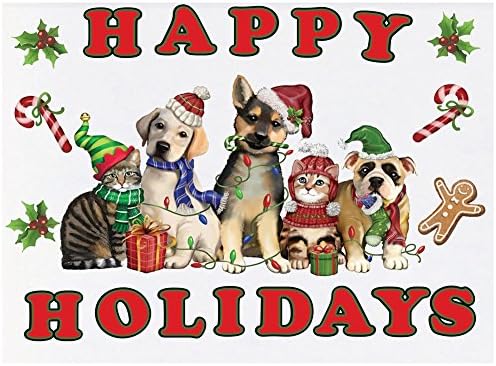 EUROB YY1264 Gift Sets Blue