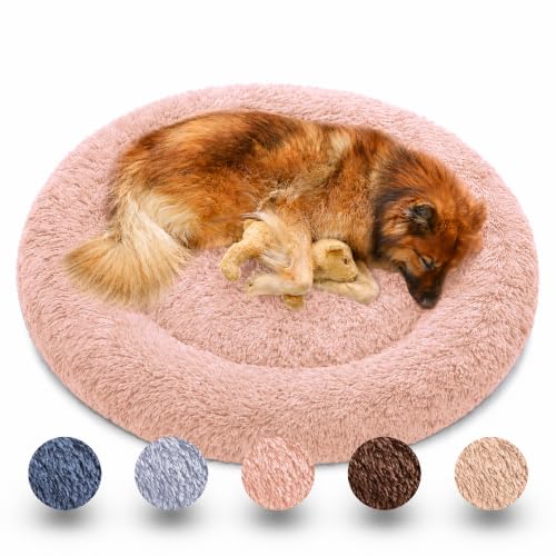 nobelpfote Hundebett Wolke 7- Kuscheliges Hundekissen, waschbarer Bezug, gelenkschonend für kleine, mittelgroße & große Hunde, Champagner, M- 70cm