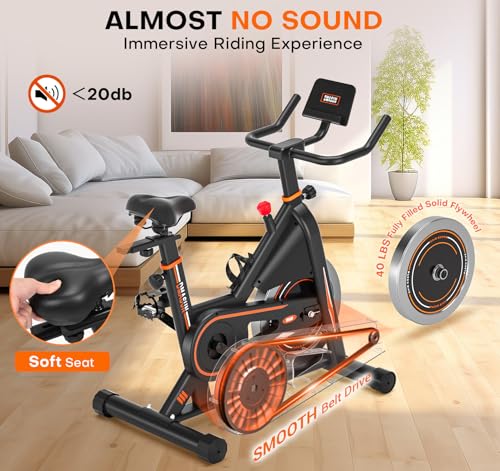 Exercise Bike, DMASUN Silent Magnetic Resistance 350LB Capacity Stationary Bike for Home with Bluetooth, App Compatible, Workout Bike with Solid Flywheel and Tablet Holder