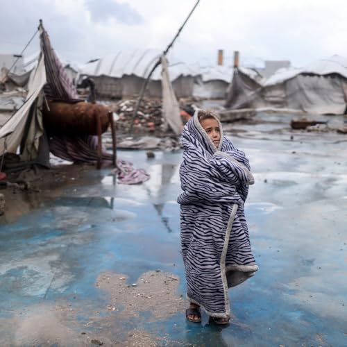 &ldquo;We are still living in a selective ceasefire&rdquo;: Gaza, 2026