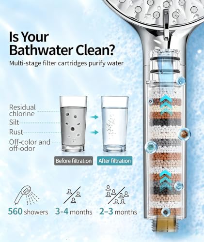 Image of SR SUN RISE Filtered Shower Head with Handheld High Pressure 9 Spray Mode Showerhead Detachable Shower Head Water Softener Filters Beads for Hard Water Remove Chlorine 1 Filter Silvery