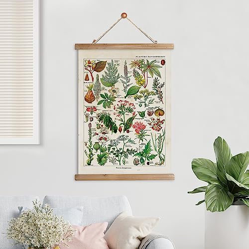 Xiaoaika Vintage Botany Poster Hanger Frame, Retro Style Wall Decor Art Painting, Patterns Are Printed On Linen Without Fading, Scrolls Made Of Fir Are Durable (15.7X22.4 Inch) #TOP7