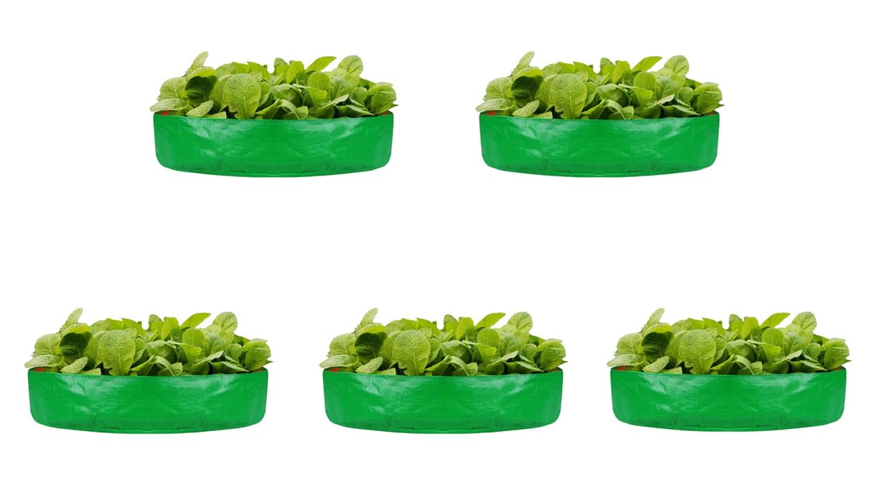 ROOT FRESH 24” x 6” (Pack of 5) HDPE UV Treated Big Size Grow Bags for Terrace and Leafy Vegetable Gardening | 260 GSM Growing Bag - Enhance Your Green Space with Easy-to-Use Planting Solutions. (B0CD69Z723) Amazon Price History, Amazon Price Tracker
