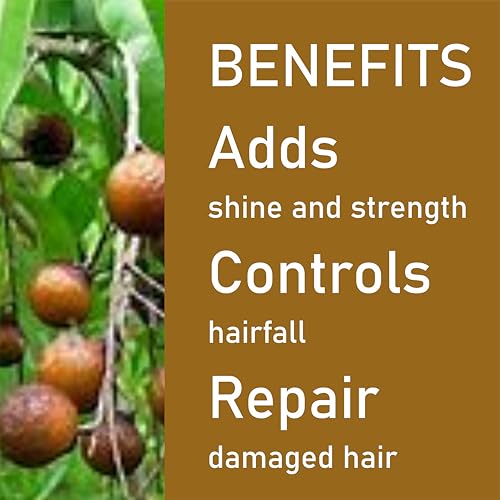 Image of Khadi Vedimatic Natural Satritha Shampoo for Strong Hair | Herbal Shampoo for Controlling Hair Fall | Natural Shampoo for Repairing Damaged Hair (Pack of 1, Satritha)