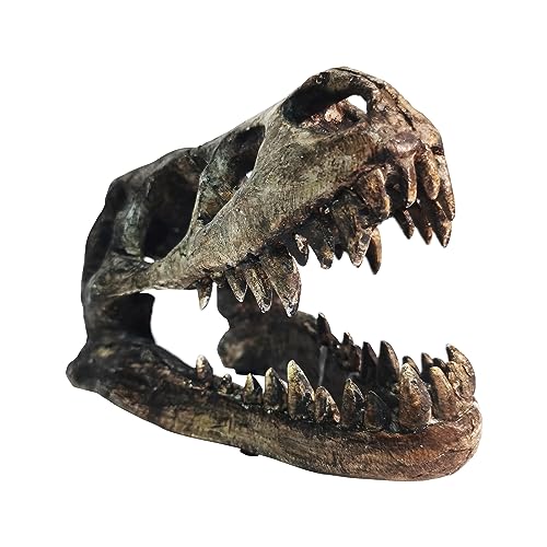 Ptosziav Dinosaur Skull T-Rex Bones Resin Craft Statue for Home Office Shelf Decor Lifelike Tyrannosaur Head Sculpture Figurine Gifts Reptile Hide House Shelter Cave