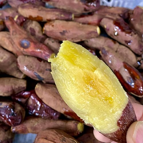 yËׁA11̏zY n܂ Ă 500g×1 ߂̂Ղ聝Y  ܂  D 󂠂 