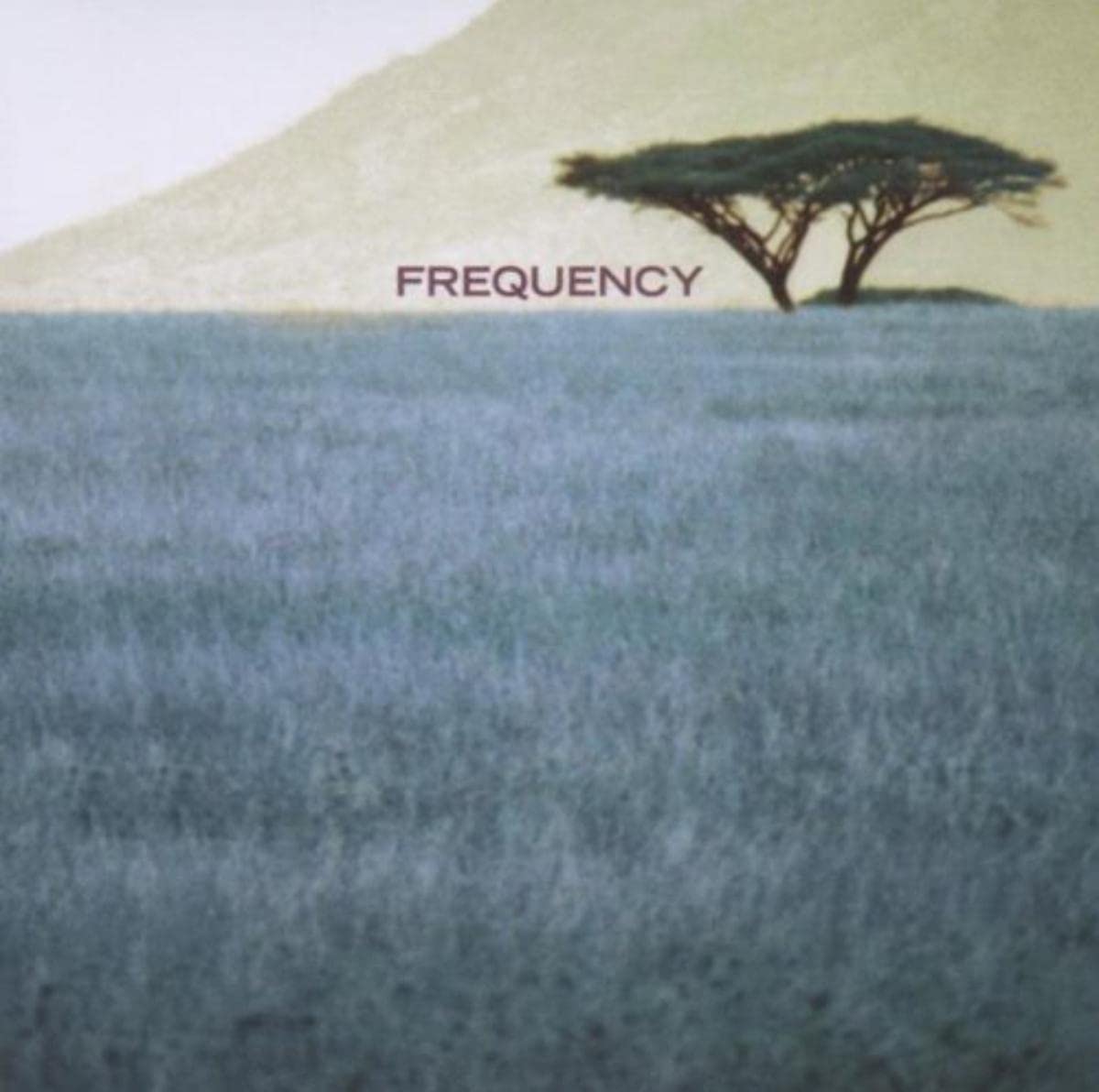 Fleeting [VINYL]