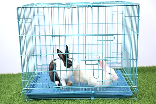 Image of RvPaws Metal Cage Iron And Plastic Cage With Removable Tray For Dogs And Rabbits - 24 Inch, Blue