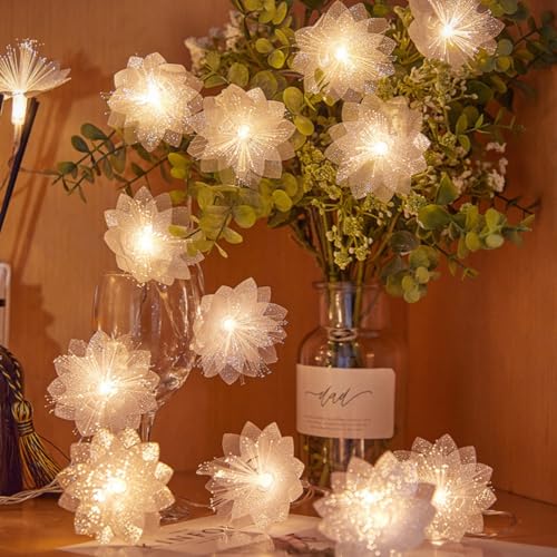 HHMTAKA 20 Warm White LED Indoor White Decorative Flower String Fairy Lights Clear Cable USB Powered 3M Bedroom Home Wedding Valentine Birthday Decoration