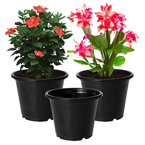 Image of Kuber Industries Durable Plastic Flower Pot|Gamla with Drain Holes for Indoor Home Decor & Outdoor Balcony,Garden,6 inchx5 inch,Pack of 3 (Black)