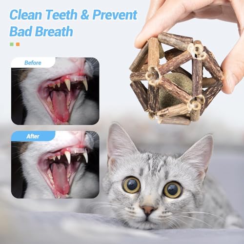 Image of cature Care by Nature Catnip Toys,Cat Toys Natural Silvervine Stick Cage Balls&Bell Ball Cat Toys For Indoor Cats,Cat Chew Toy&Kitten Cleaning Teeth Molar Tools (1Pcs)