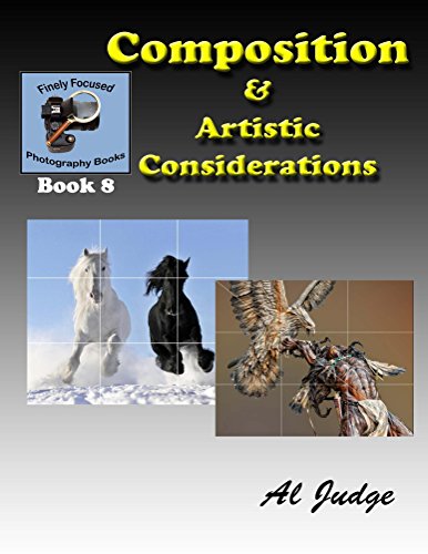 Composition & Artistic Considerations (Finely Focused Photography Books Book 8)