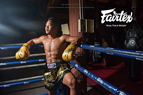 fairtex falcon gloves