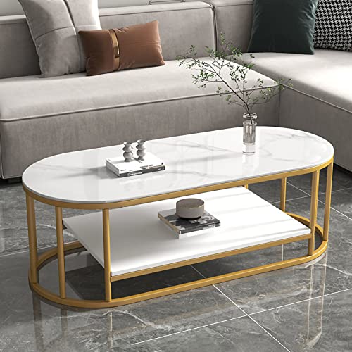DGDHHSFJDJ Mesa de Centro Moderna Ovalada con Tablero de Piedra, Estructura de Metal y Estante de Almacenamiento. Mesa Multiusos fácil de Montar para Salas de Estar, oficinas y cafeterías.