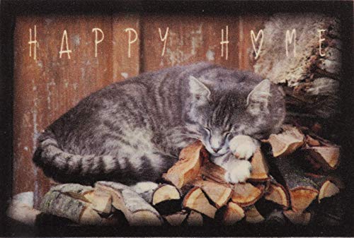 oKu-Tex Design Fußmatte Happy Home schlafende Katze, lustiges & niedliches Motiv, rutschfest &...
