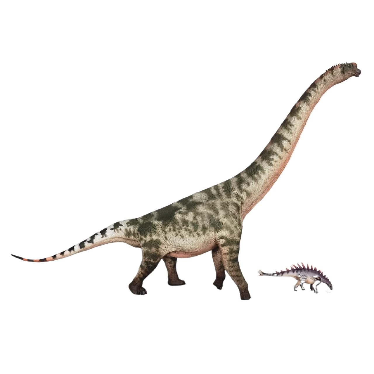 XINPANYIAN HAOLONGGOOD Brachiosaurus Prehistoric Animal Dinosaur Model with Huayangosaurus Figure (Color B)