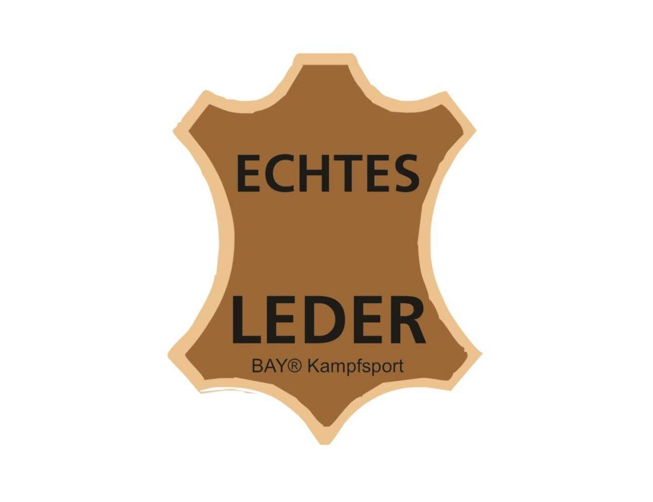 BAY Sports Leder Thai TECH 2020 Arm-Pratzen, Handpratzen, Armschlagpolster, vorgekrümmt, schwarz, Pratzen, krumm, Kickboxen, Muay Thai, Thaiboxen, MMA, K1, K-1, Handschlagpolster