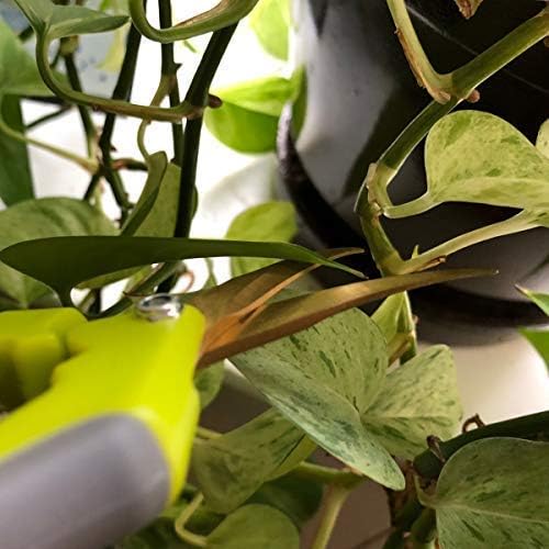 Miniatura 6 de Juego de tijeras de jardinería, tijeras de podar con micropunta curvada y recta, con revestimiento de titanio, recortadoras súper afiladas para