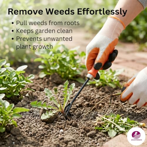 Image of Divayanshi Gardening Tools Set of 5 | Hand Trowel, Transplanter, Cultivator & Weeder | Durable Garden Tool Kit with Comfortable Grip for Planting & Weeding