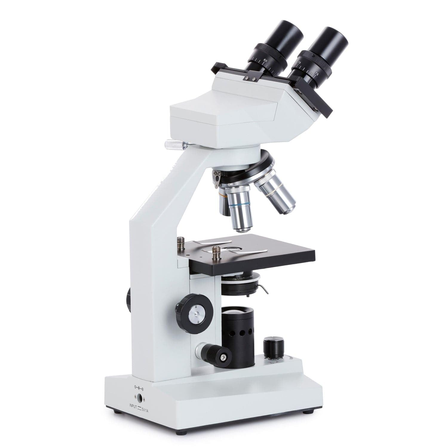 AmScope B100B-E2 40X-2000X Microscopio Biológico Compuesto Biológico Binocular y Cámara Ocular Digital 2MP USB