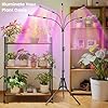 Garpsen Grow Light with Stand, 5 Heads Grow Lights for Indoor Plants, 100 LEDs Full Spectrum Led Plant Light for Seed Starting, with 15-63" Adjustable Tripod&6/12/16H Timer(No Clip) #1
